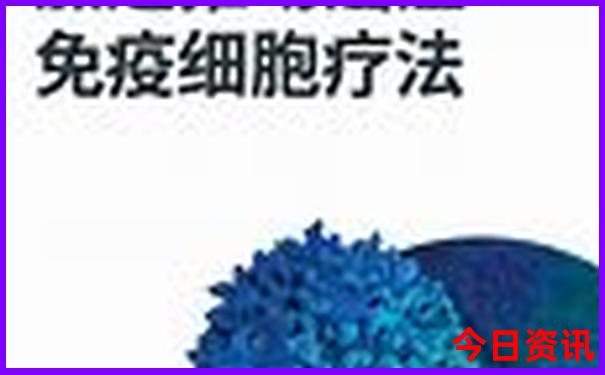 几月份去越南旅游最好